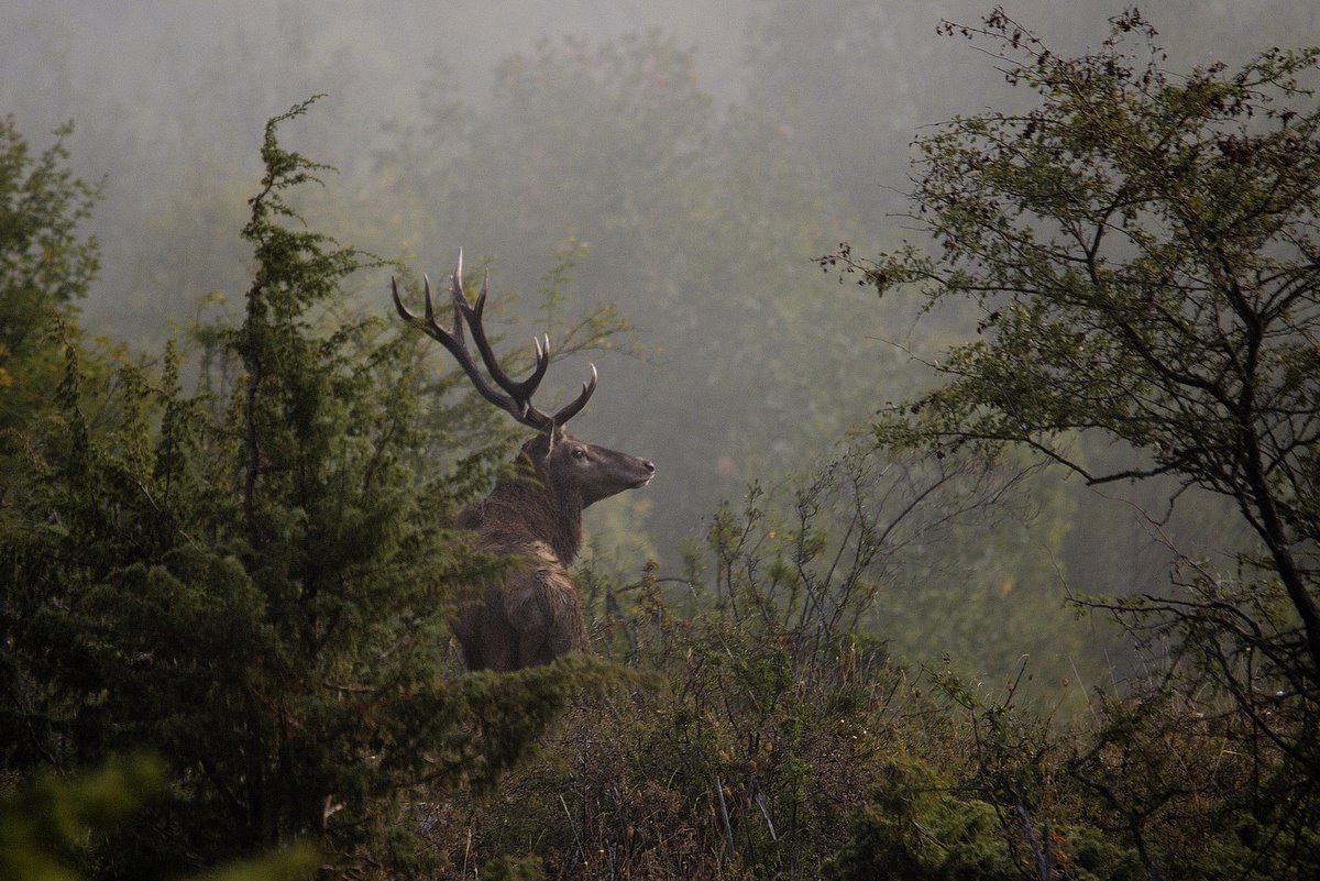 Sogno  (fotoracconto)